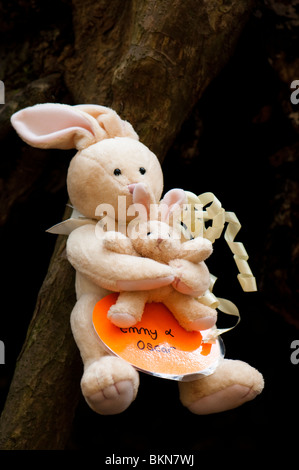 Lapins de pâques attachée à un arbre à Puzzlewood dans la forêt de Dean, Gloucestershire Banque D'Images