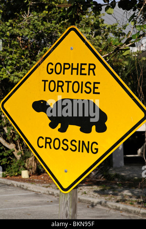 Gopher Tortoise panneau de passage à niveau. Ding Darling Réserve Naturelle, Sanibel Island, Floride, USA Banque D'Images