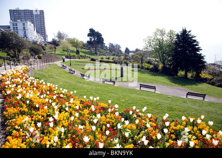 Fleurs sur Cliff Gardens, Southend, Essex Banque D'Images