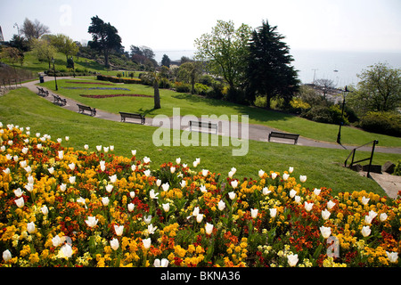 Fleurs sur Cliff Gardens, Southend, Essex Banque D'Images