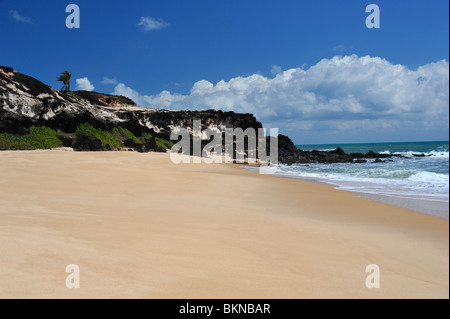 Praia dos Minas (tortue) à côté de la plage de Pipa Banque D'Images