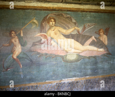 Fresque de la coquille, Maison de Vénus dans la coquille, ancienne ville de Pompéi, Pompéi, ville métropolitaine de Naples, région de Campanie, Italie Banque D'Images
