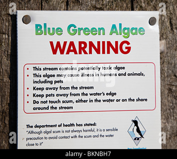 Algues bleu-vert panneau d'avertissement sur la plage à l'est d'eau douce, Pembrokeshire Wales UK Banque D'Images