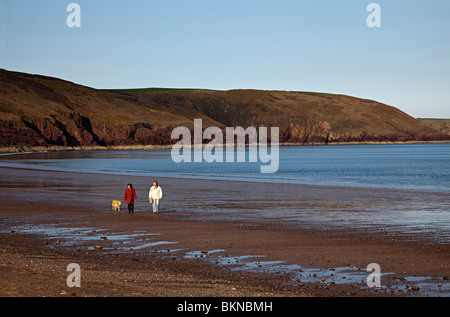 Deux femmes marchant sur l'eau douce plage chien Pembrokeshire Wales UK est Banque D'Images