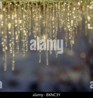 Close-up of icicles Banque D'Images