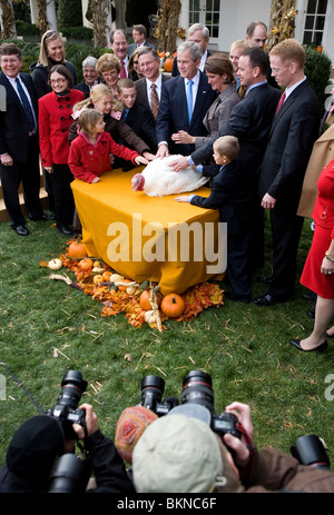 Le Président George W Bush effectue le 2008 National Turquie Pardon. Banque D'Images