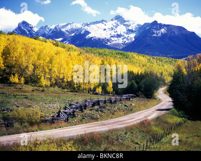 Route de terre de pays, pole position et de Golden Grove trembles (Populus tremuloides), de montagnes de Sneffels, Colorado, USA Banque D'Images