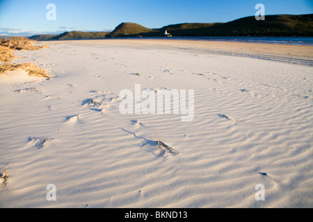 Beach et phare de chefs Macquarie Banque D'Images