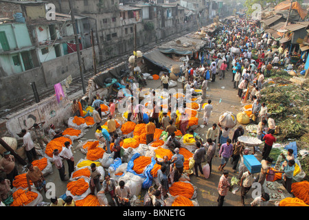 Malik Ghat marché aux fleurs, Kolkata Banque D'Images