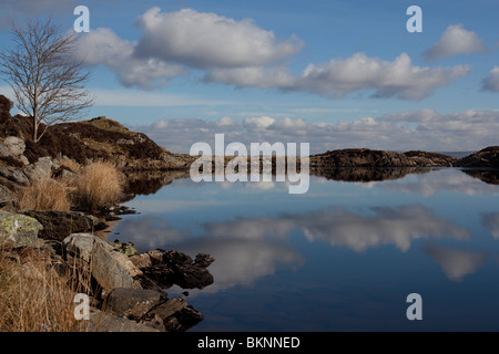 Petit lac sur le côté de Moel Siabod, Parc National de Snowdonia, Pays de Galles. Banque D'Images