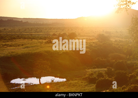 Le Kenya, l'Afrique, le parc national de Tsavo Ouest, Bandas Ngulia lodge sunrise paysage Banque D'Images