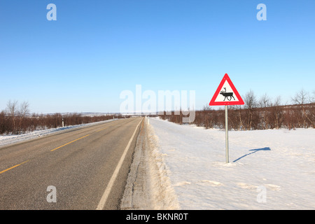 Signe de route de rennes d'avertissement sur le côté de la route près de Kautokeino dans Finnmarksvidda en Norvège Banque D'Images