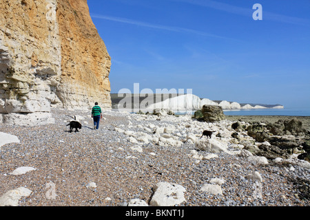 Femme marche les chiens sur la plage à Seaford Head East Sussex England UK Banque D'Images