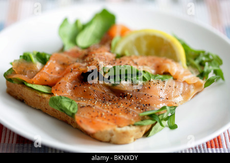 Santé guérir fraîchement préparé du saumon fumé et raifort Sandwich ouvert servi sur une plaque avec aucun peuple Banque D'Images