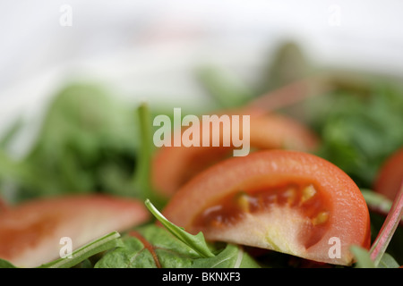 Frais sain végétarien ou Vegan Salade de roquette et tomate servi dans un bol avec aucun peuple Banque D'Images