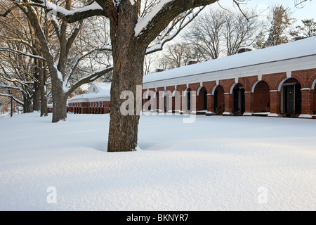 Neige, en Virginie. Banque D'Images