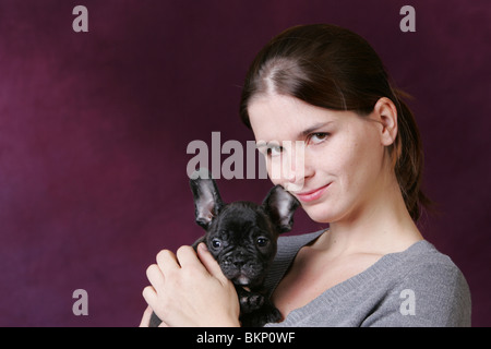 Chiot Bouledogue Français Banque D'Images