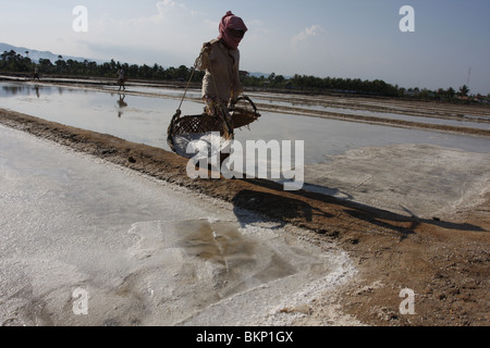 Une femme porte des paniers remplis de sel sur une ferme près de Kampot, Cambodge Banque D'Images