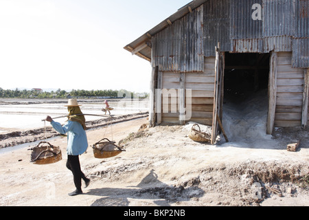 Hommes et femmes travaillent dans les exploitations de sel chaud scorchingly de Kampot, au Cambodge. Banque D'Images