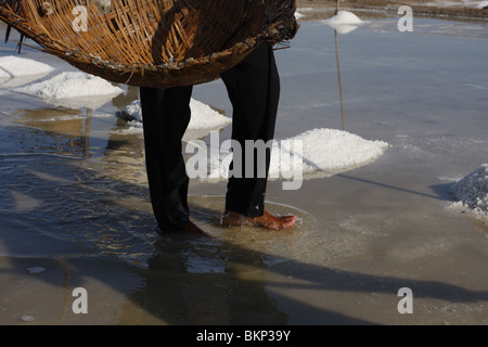 Une femme travaille dans le sel chaud scorchingly de fermes de Kampot, au Cambodge. Banque D'Images