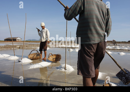 Les hommes travaillent dans les exploitations de sel chaud scorchingly de Kampot, au Cambodge. Banque D'Images