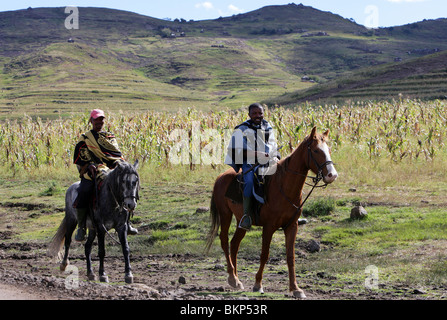 Horsees locaux hommes installés le long d'une route poussiéreuse dans les hautes terres du Lesotho Banque D'Images