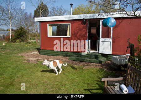 Chien à court d'une maison mobile, Hattingley, Hampshire, Angleterre, Royaume-Uni. Banque D'Images