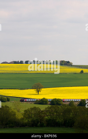 Cross country Virgin train dans les champs dans les Cotswolds, à l'ensemble de la vallée de Cherwell au printemps. Banque D'Images