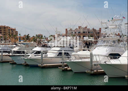 Yachts de luxe, bateaux de pêche, lance et de l'eau dans l'Taxi Marina Cabo San Lucas, Baja California, Mexique Banque D'Images