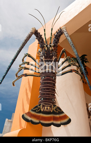 Homard de signe sur le côté d'un restaurant de fruits de mer, à Cabo San Lucas, Baja California, Mexique Banque D'Images