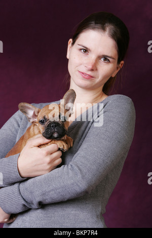 Chiot Bouledogue Français Banque D'Images