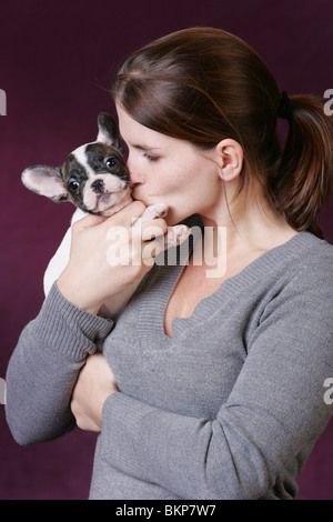 Chiot Bouledogue Français Banque D'Images