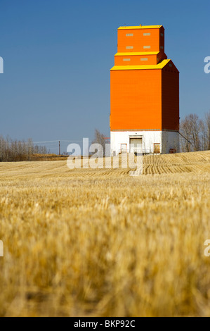 Une famille, de l'élévateur à grain orange est de l'attention avec des chaumes de céréales qui l'entourent. Banque D'Images