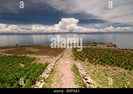 Vue sur le lac Titicaca depuis le haut de l'île Amantani, Pérou Banque D'Images