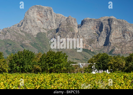 Boschendal estate Manor House au pied des montagnes Drakenstein Groot entre Franschhoek et Stellenbosch, Afrique du Sud. Banque D'Images