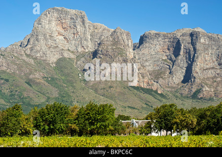 Boschendal estate Manor House au pied des montagnes Drakenstein Groot entre Franschhoek et Stellenbosch, Afrique du Sud. Banque D'Images