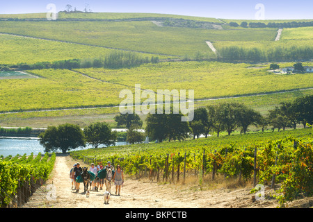 Ingrid et Luca Bein prendre des visiteurs sur une promenade à travers les vignobles Stellenbosch, Western Cape, Afrique du Sud. Banque D'Images