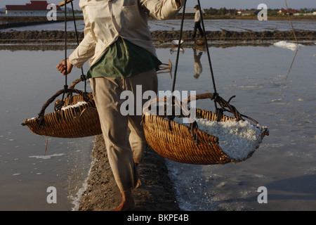 Un homme travaille dans les exploitations de sel chaud scorchingly de Kampot, au Cambodge. Banque D'Images