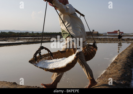 Une femme travaille dans le sel chaud scorchingly de fermes de Kampot, au Cambodge. Banque D'Images
