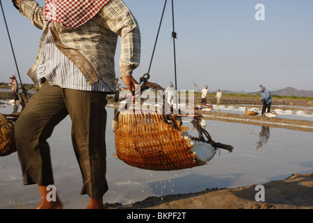 Une femme travaille dans le sel chaud scorchingly de fermes de Kampot, au Cambodge. Banque D'Images