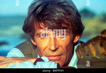 Le cascadeur (1980) LE CASCADEUR (ALT) Peter O'TOOLE SSTM 007 Banque D'Images