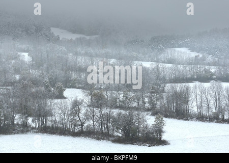 Dans Bocaceglandschap de mist en en, parc du Vercors, Frankrijk paysage de bocage dans la brume et la neige, parc national du Vercors, France Banque D'Images