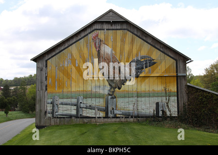 Un grand coq est l'objet de la grange art dans le comté de Lancaster, PA. Banque D'Images