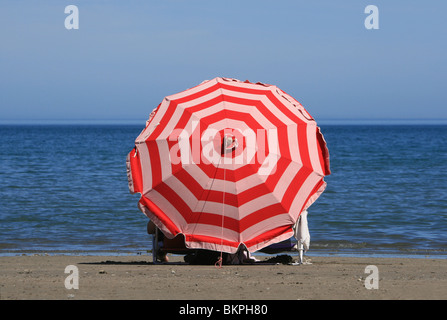 Un seul parasol coloré Banque D'Images