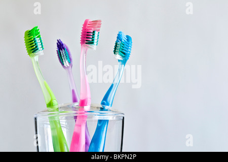 Quatre brosses à dents de couleur différente dans la famille Porte brosse à dents. Banque D'Images