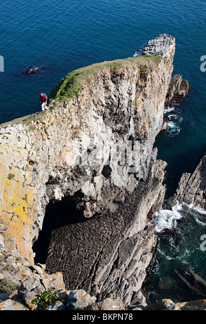 Walker sur le dessus du pont vert, Pembrokeshire Wales UK Banque D'Images