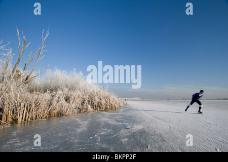 Dans Schaatsers de Oostvaardersplassen Banque D'Images