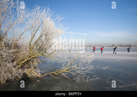 Dans Schaatsers de Oostvaardersplassen Banque D'Images