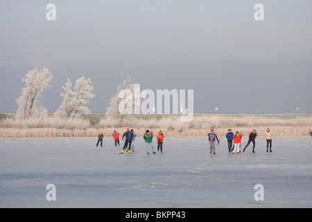 Dans Schaatsers de Oostvaardersplassen Banque D'Images