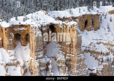 Mur de fenêtres à Bryce Point. Bryce Canyon National Park, Utah. Banque D'Images